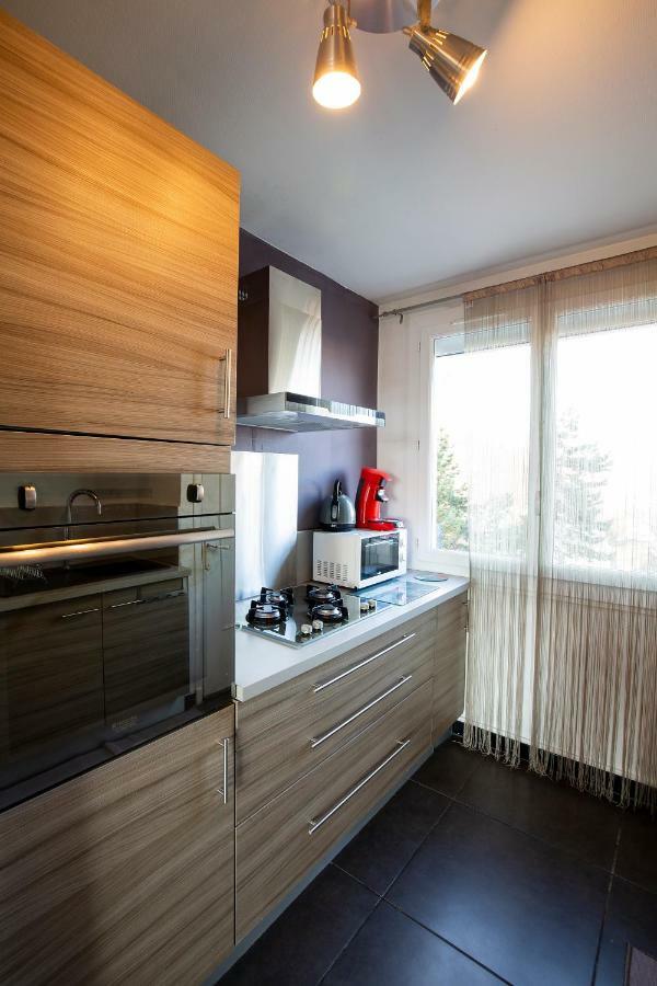 Appartement Malya&parking privé Grenoble Exterior foto